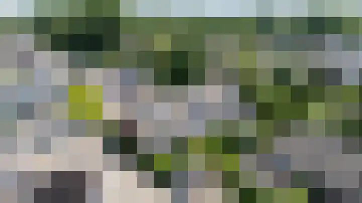 Lieshoutstraat 121 Arnhem thumbnail 38