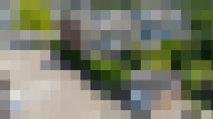 Lieshoutstraat 121 Arnhem thumbnail 39