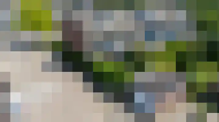 Lieshoutstraat 121 Arnhem thumbnail 4