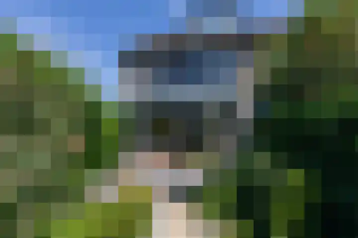 Lieshoutstraat 121 Arnhem thumbnail 40