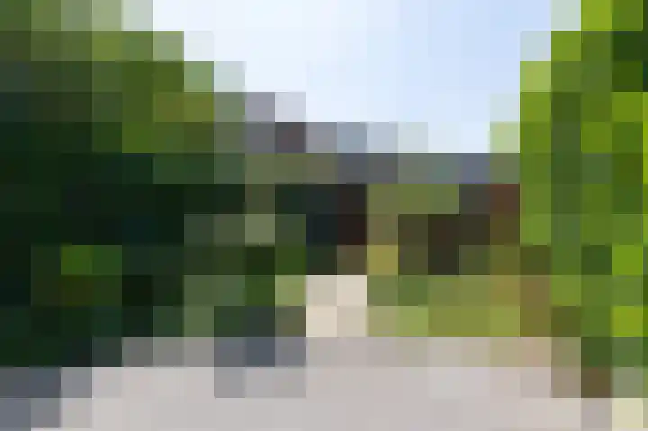 Lieshoutstraat 121 Arnhem thumbnail 42