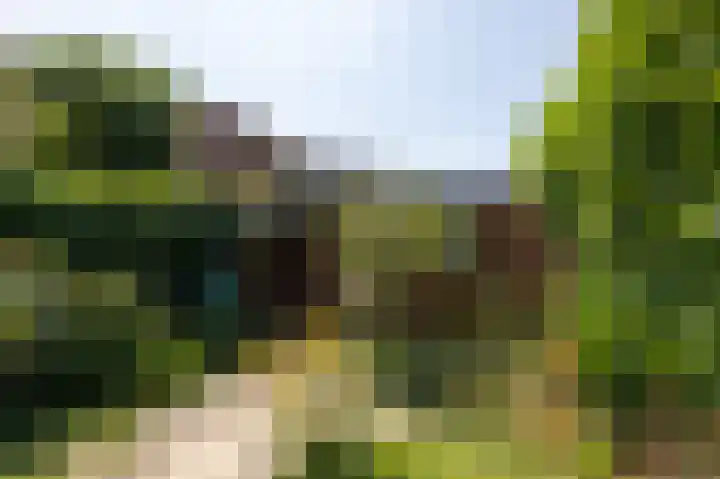 Lieshoutstraat 121 Arnhem thumbnail 43