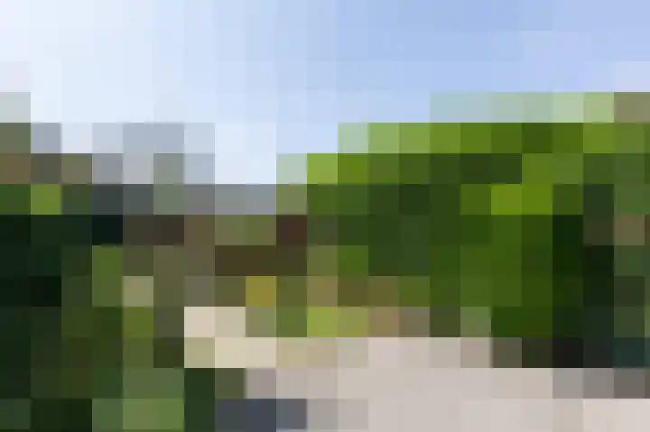 Lieshoutstraat 121 Arnhem thumbnail 44