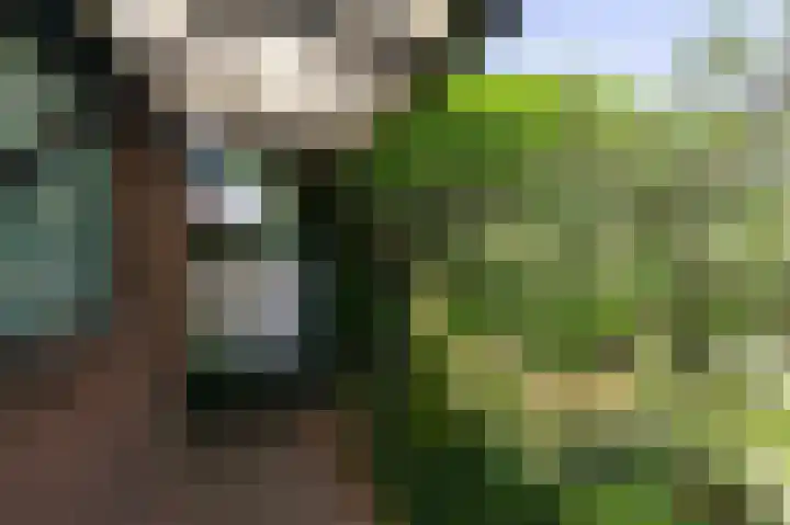 Lieshoutstraat 121 Arnhem thumbnail 45