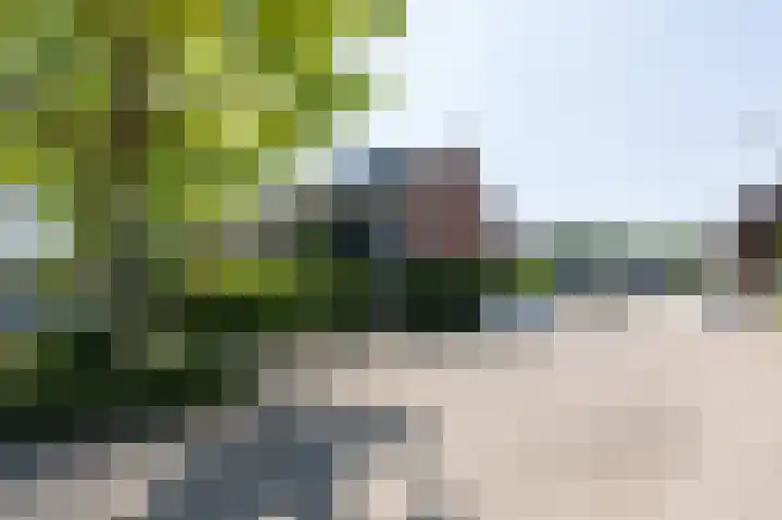 Lieshoutstraat 121 Arnhem thumbnail 50