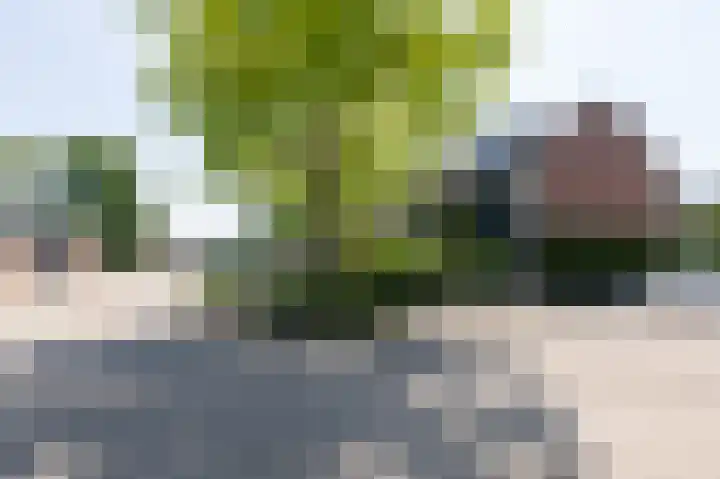 Lieshoutstraat 121 Arnhem thumbnail 51