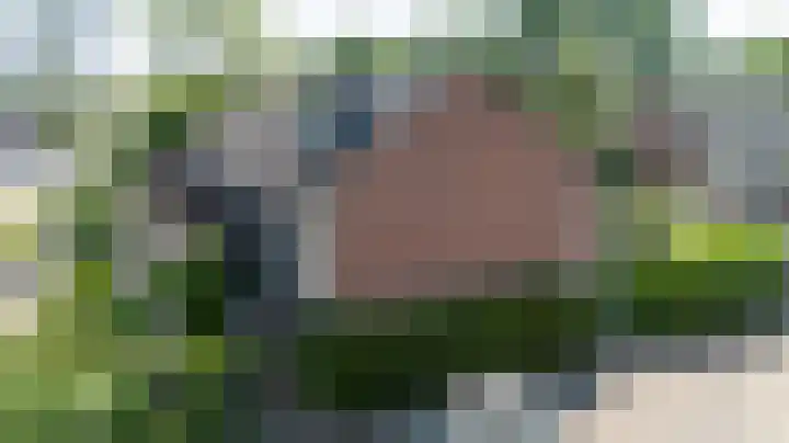 Lieshoutstraat 121 Arnhem thumbnail 52