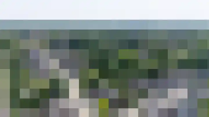 Lieshoutstraat 121 Arnhem thumbnail 55