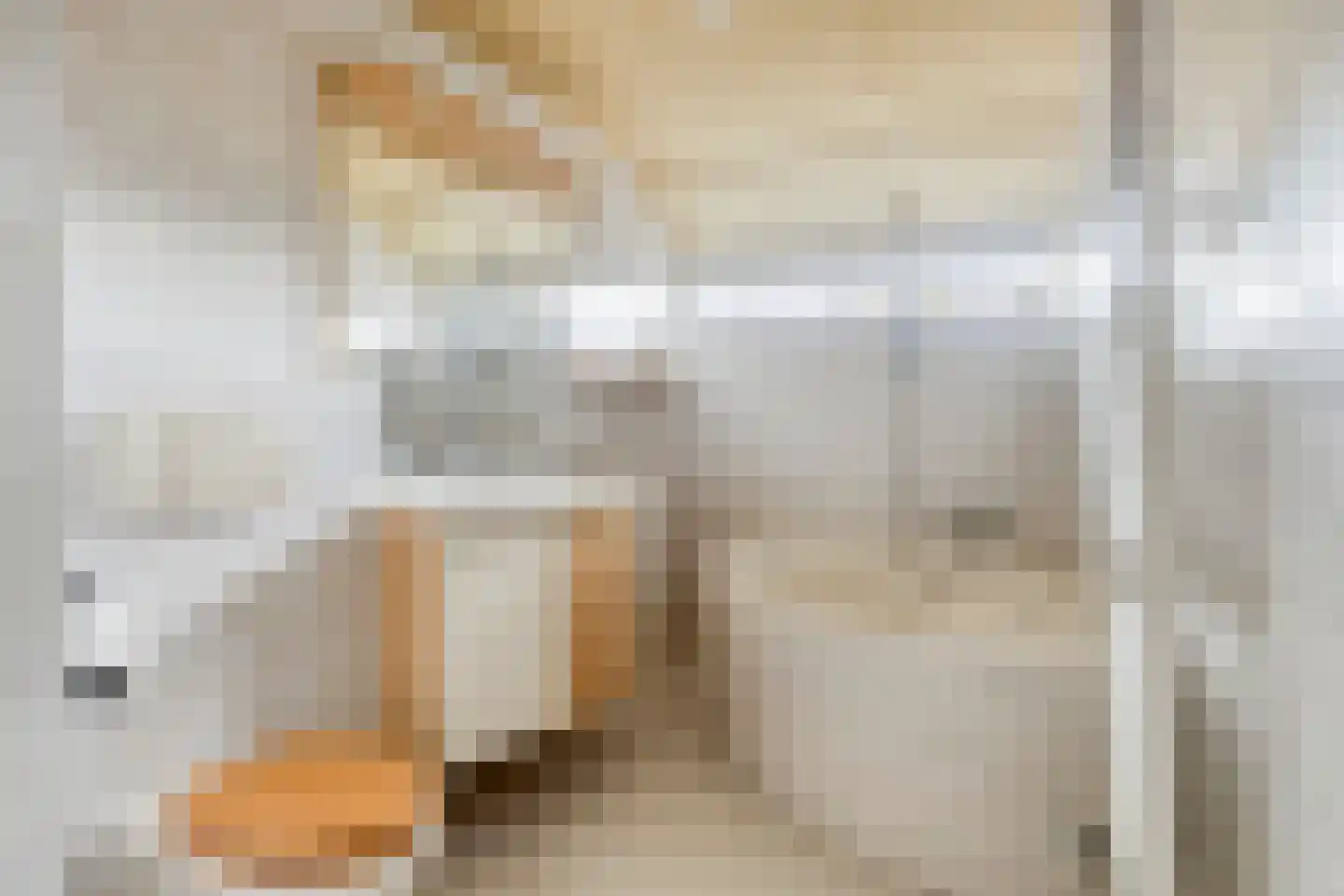 Lieshoutstraat 20 Arnhem thumbnail 36