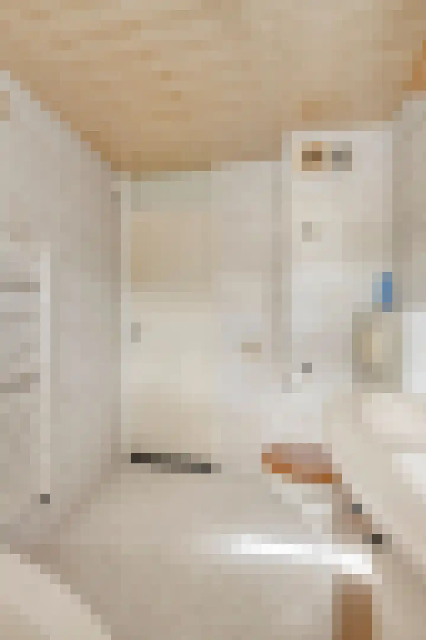 Lieshoutstraat 20 Arnhem thumbnail 38