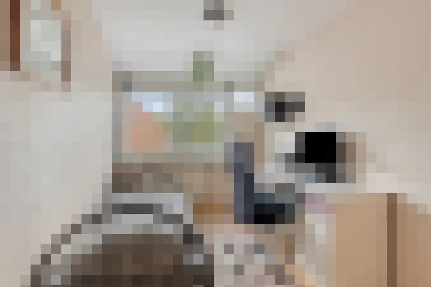 Lieshoutstraat 20 Arnhem thumbnail 43