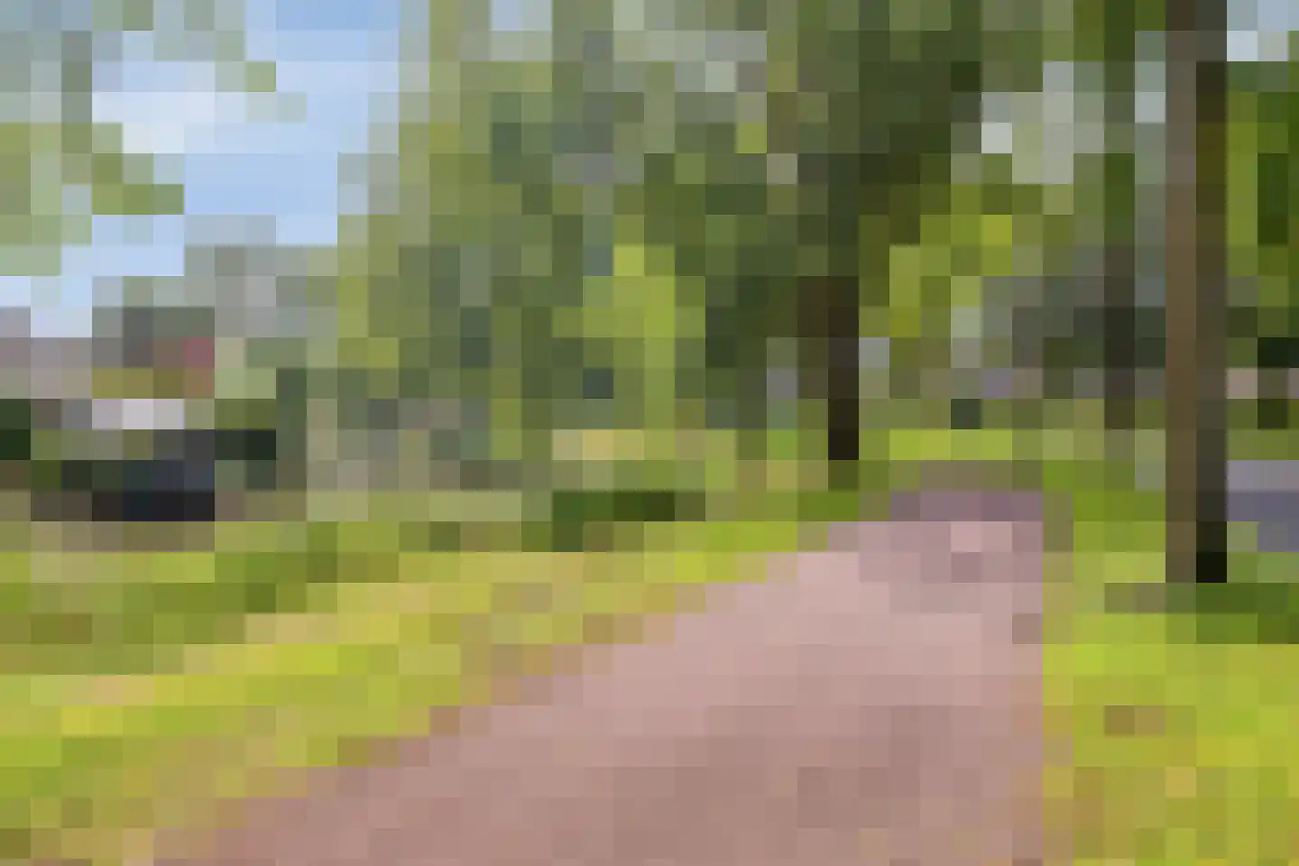 Lieshoutstraat 20 Arnhem thumbnail 56