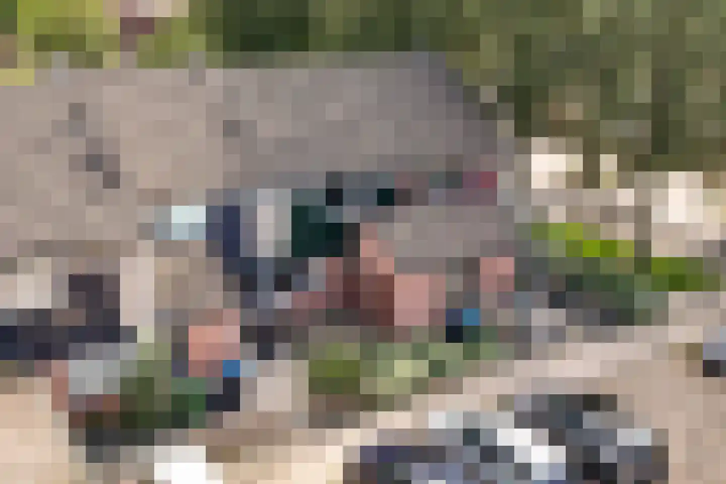 Lieshoutstraat 26 Arnhem thumbnail 37