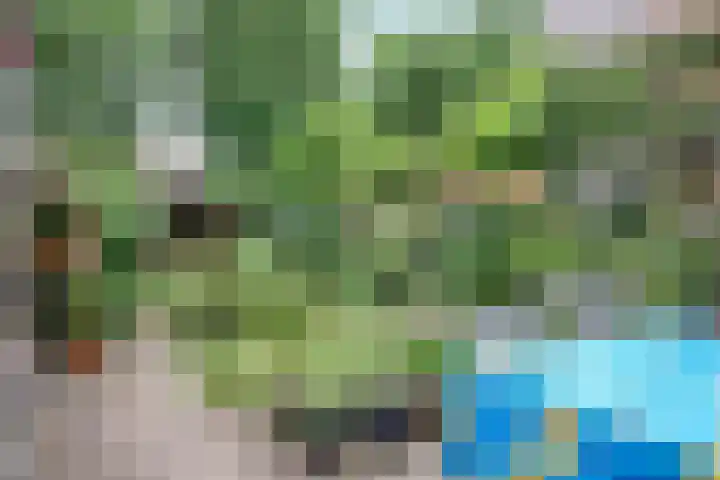 Lieshoutstraat 29 Arnhem thumbnail 31