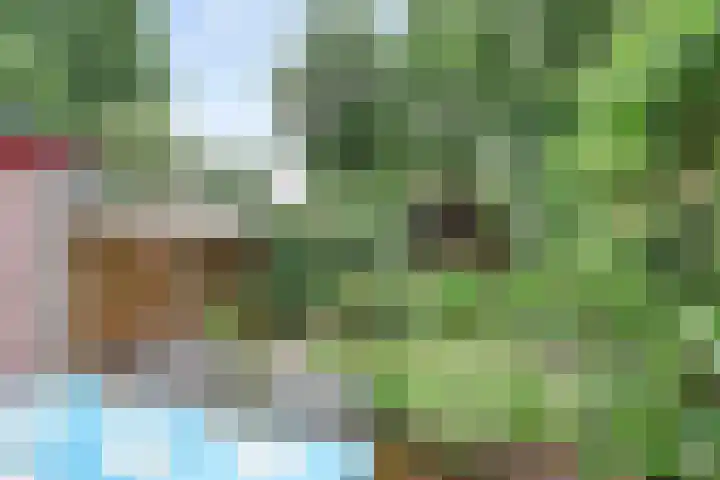 Lieshoutstraat 29 Arnhem thumbnail 32