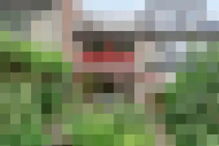Lieshoutstraat 29 Arnhem thumbnail 34
