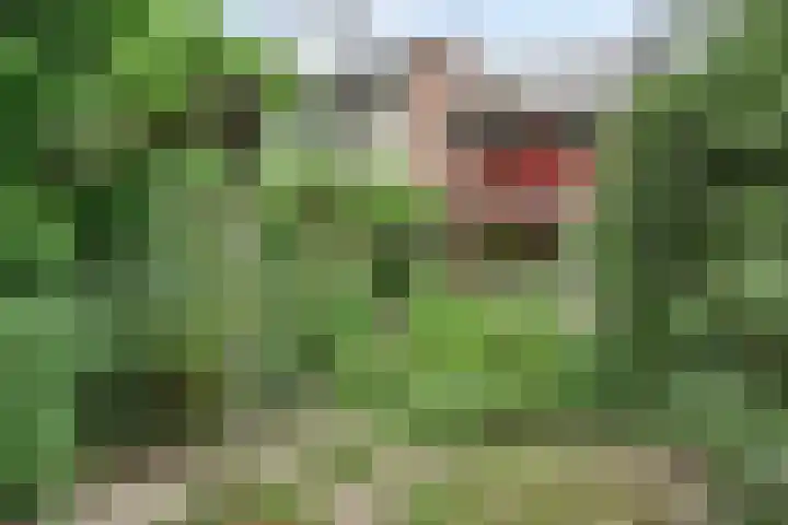 Lieshoutstraat 29 Arnhem thumbnail 35