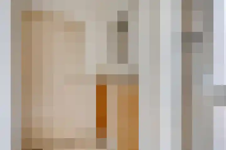 Lieshoutstraat 29 Arnhem thumbnail 4