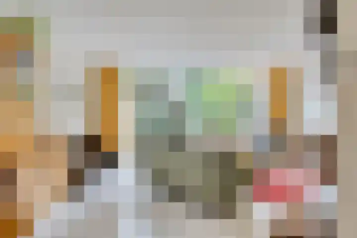 Lieshoutstraat 29 Arnhem thumbnail 8