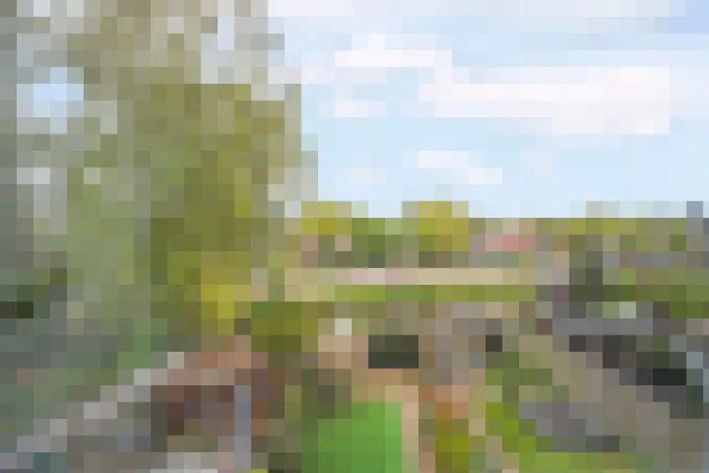 Lieshoutstraat 50 Arnhem thumbnail 39