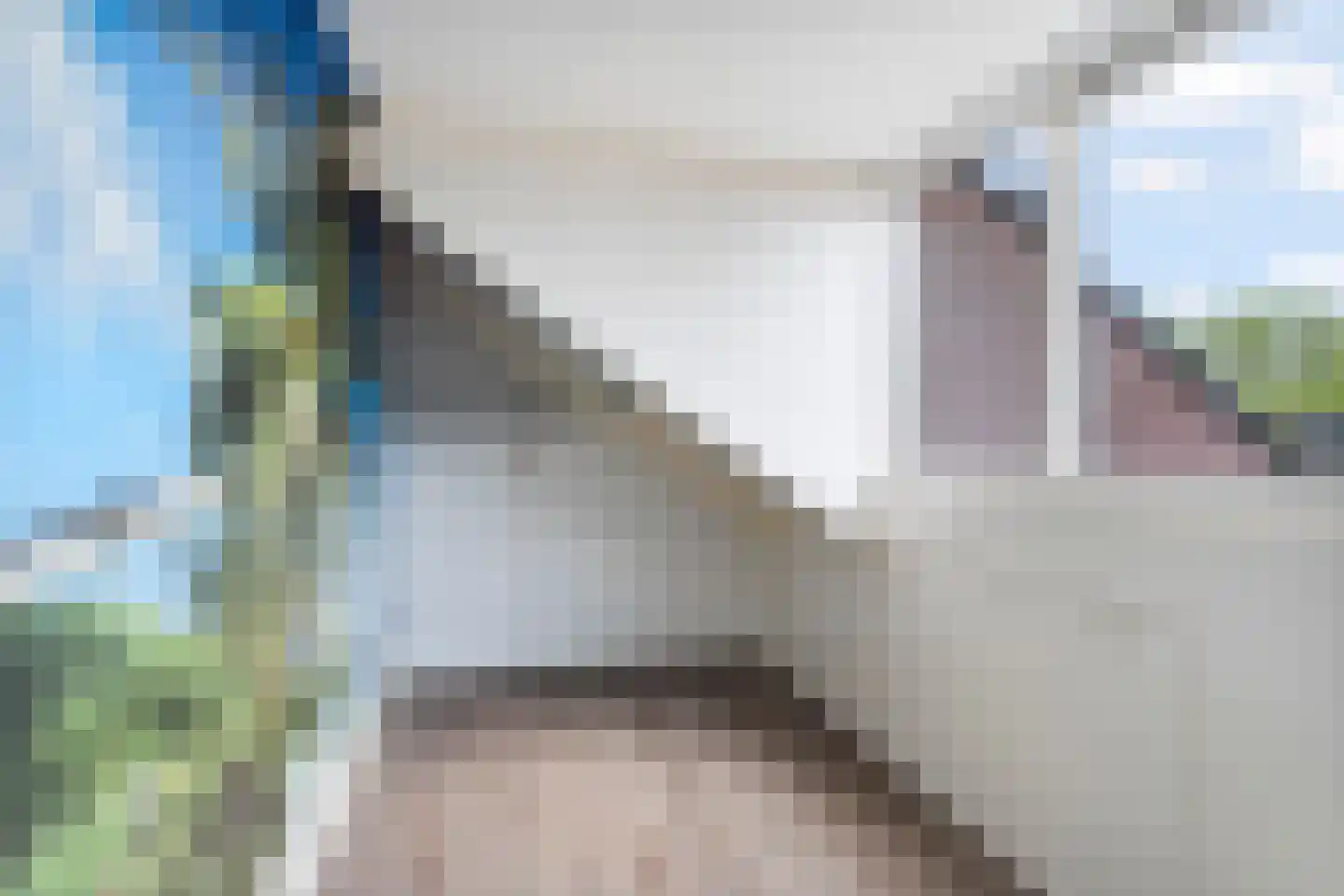 Lieshoutstraat 50 Arnhem thumbnail 40