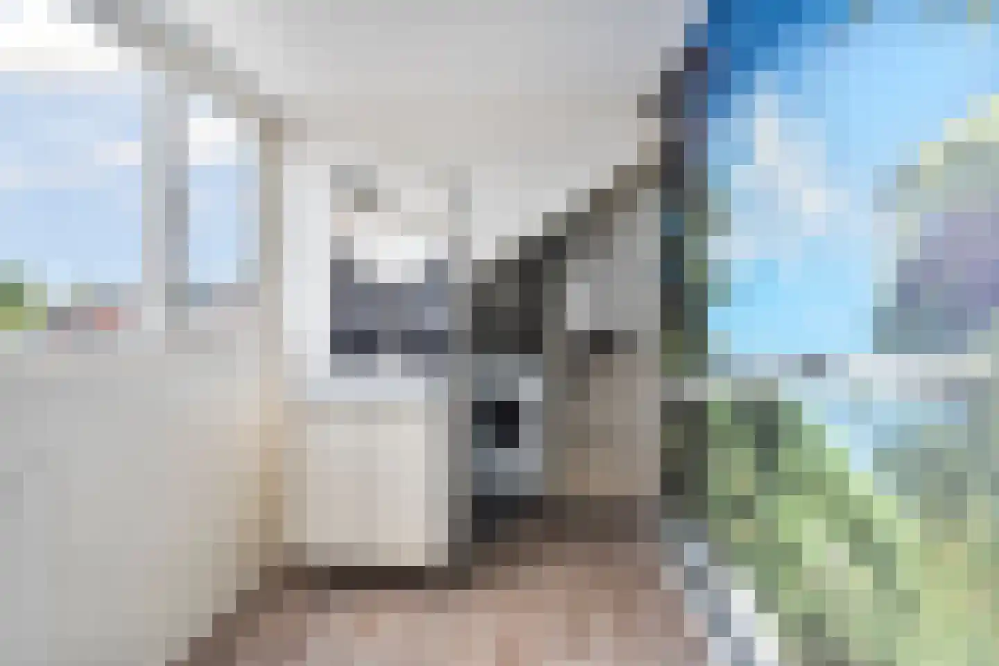 Lieshoutstraat 50 Arnhem thumbnail 41
