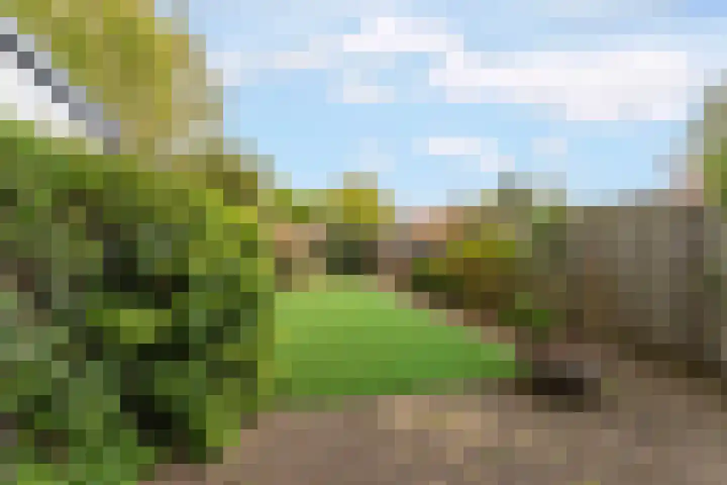 Lieshoutstraat 50 Arnhem thumbnail 45