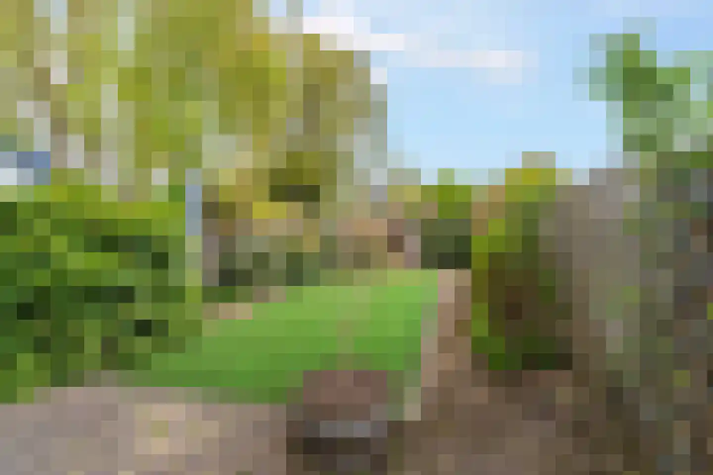 Lieshoutstraat 50 Arnhem thumbnail 46