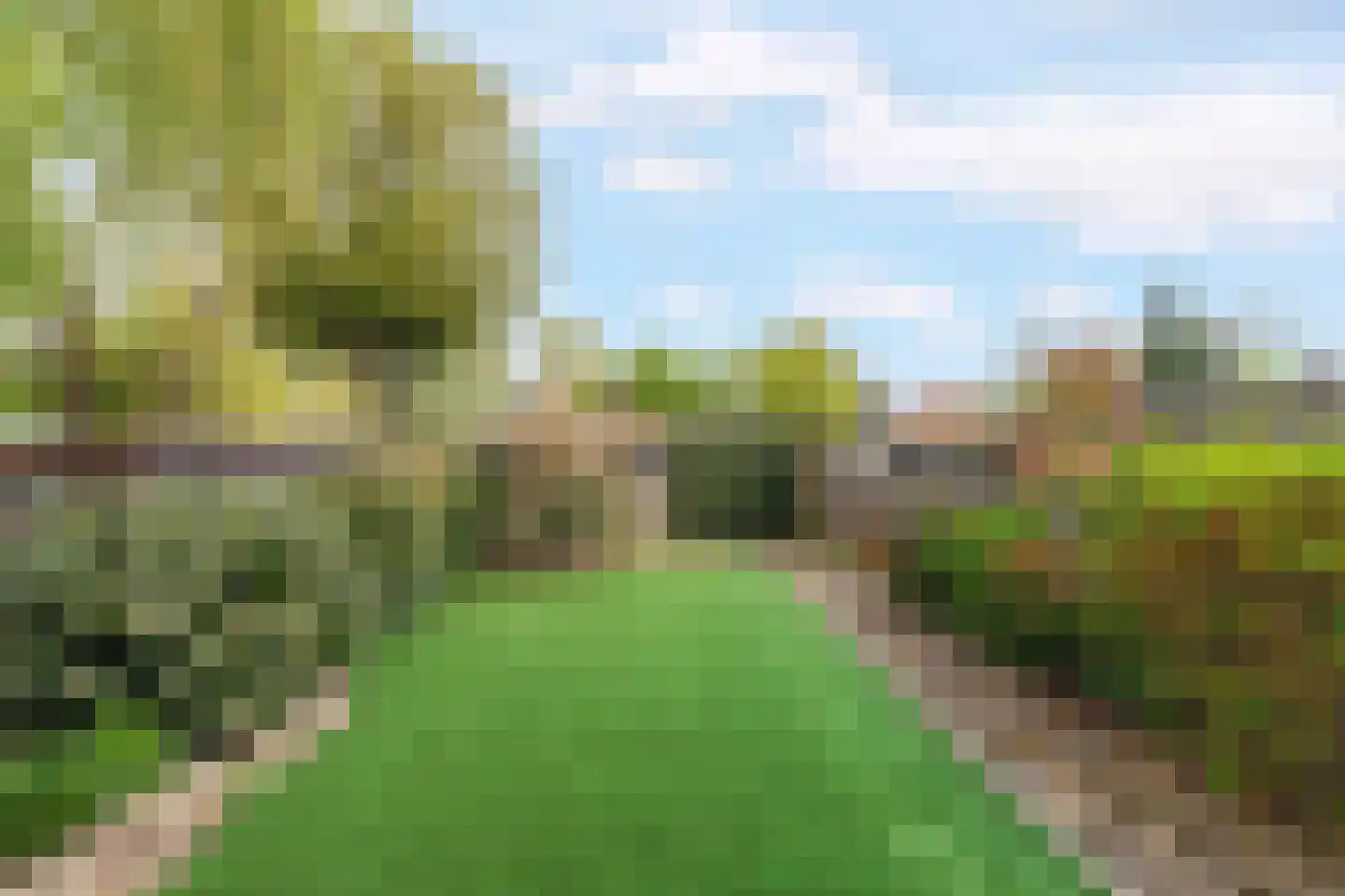 Lieshoutstraat 50 Arnhem thumbnail 47