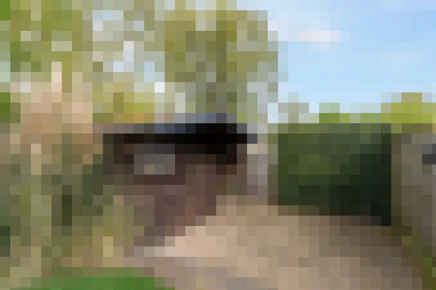 Lieshoutstraat 50 Arnhem thumbnail 48