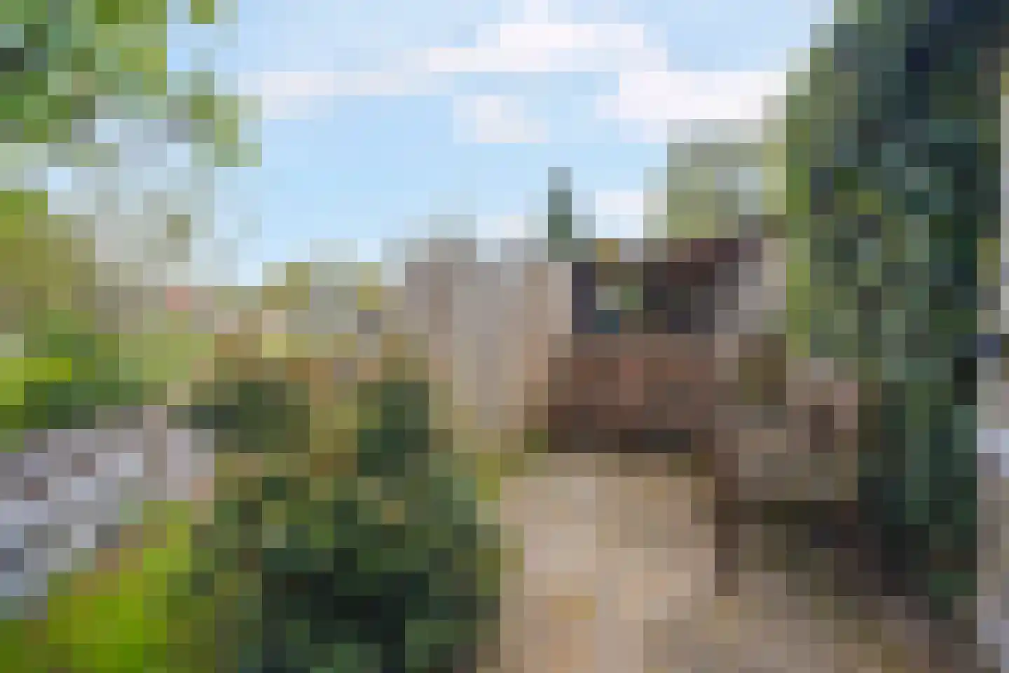 Lieshoutstraat 50 Arnhem thumbnail 51