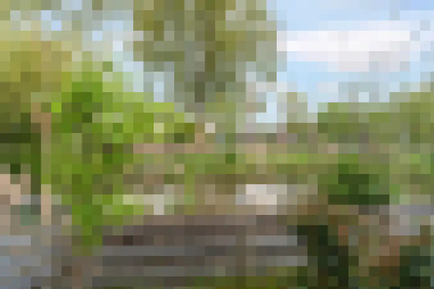 Lieshoutstraat 50 Arnhem thumbnail 52
