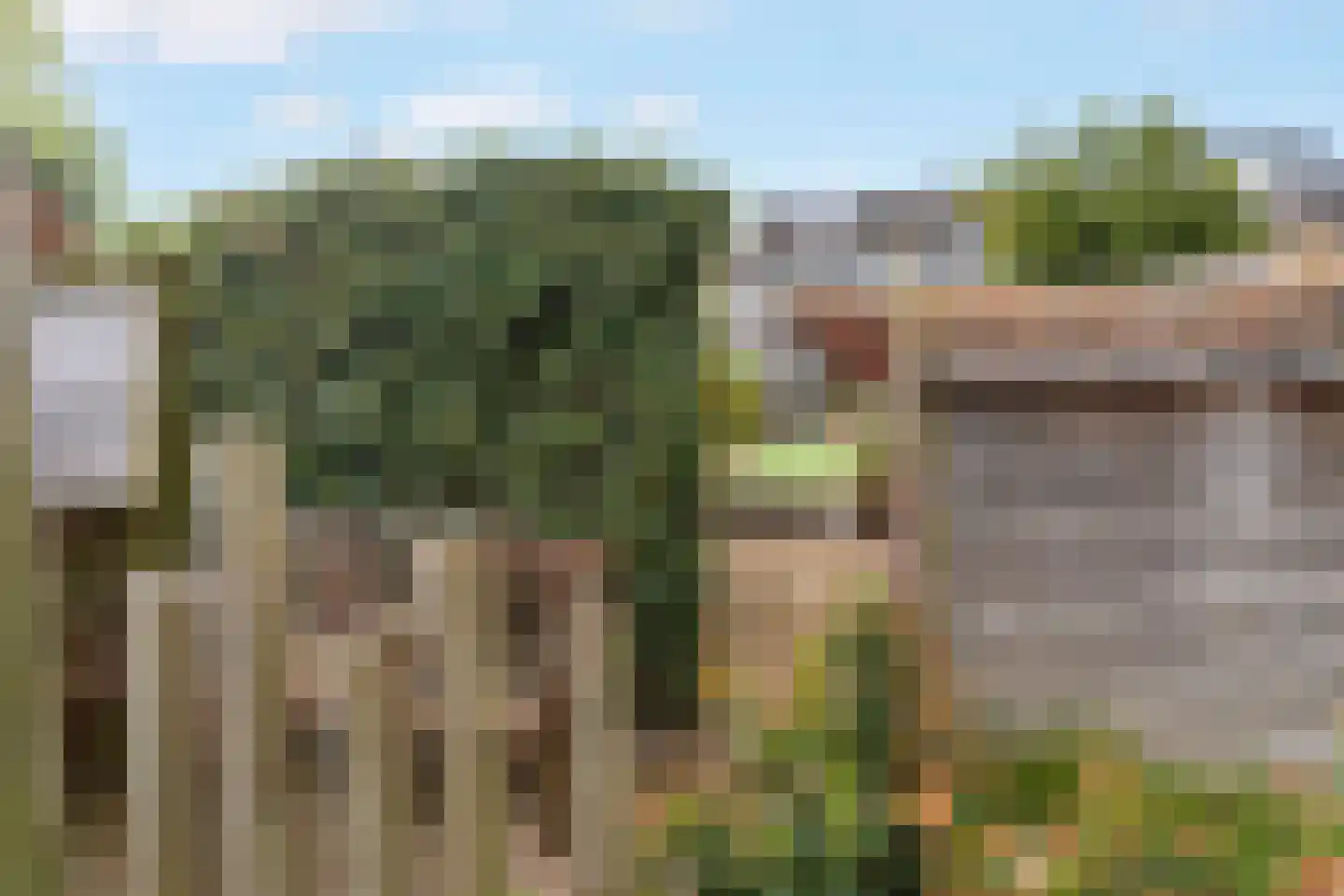 Lieshoutstraat 50 Arnhem thumbnail 53