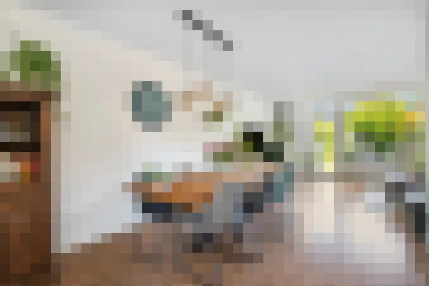 Lieshoutstraat 66 Arnhem thumbnail 10