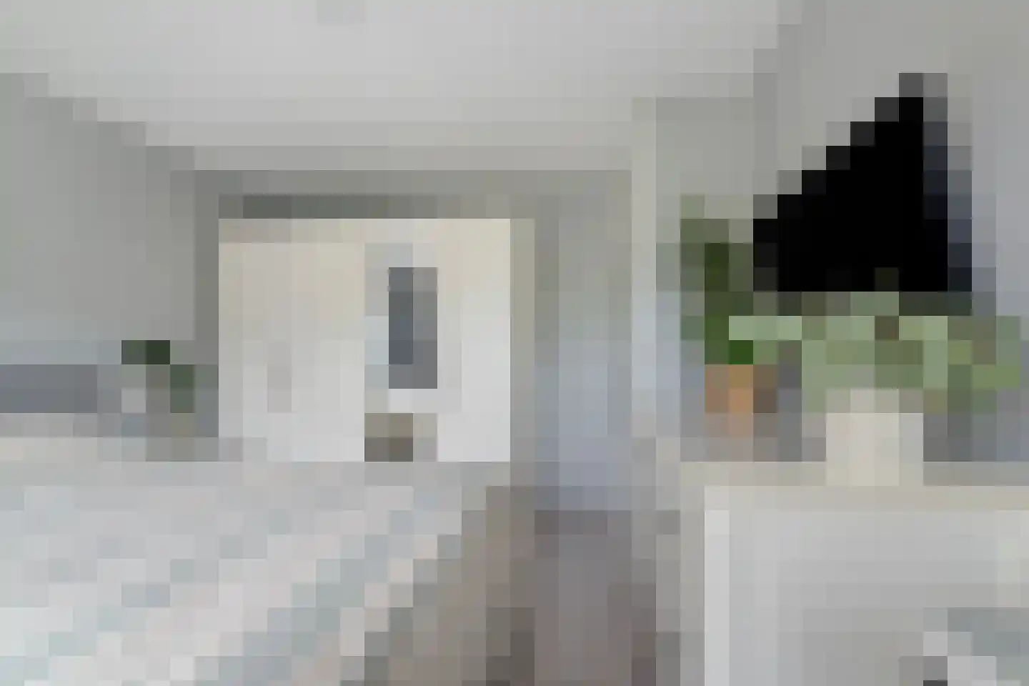 Lieshoutstraat 66 Arnhem thumbnail 19
