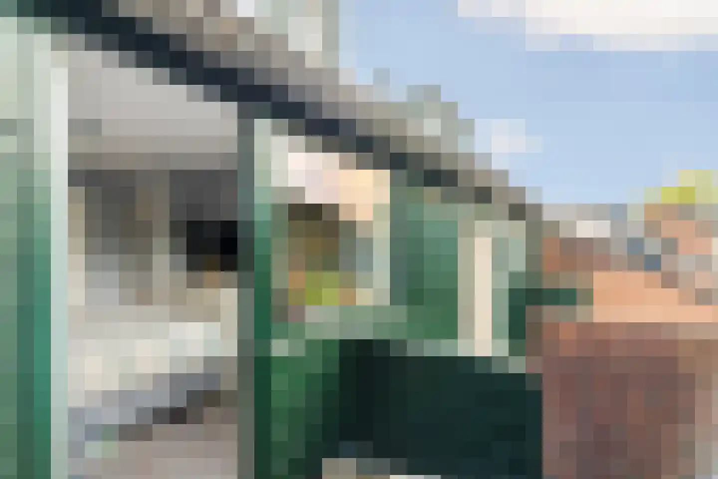 Lieshoutstraat 66 Arnhem thumbnail 21