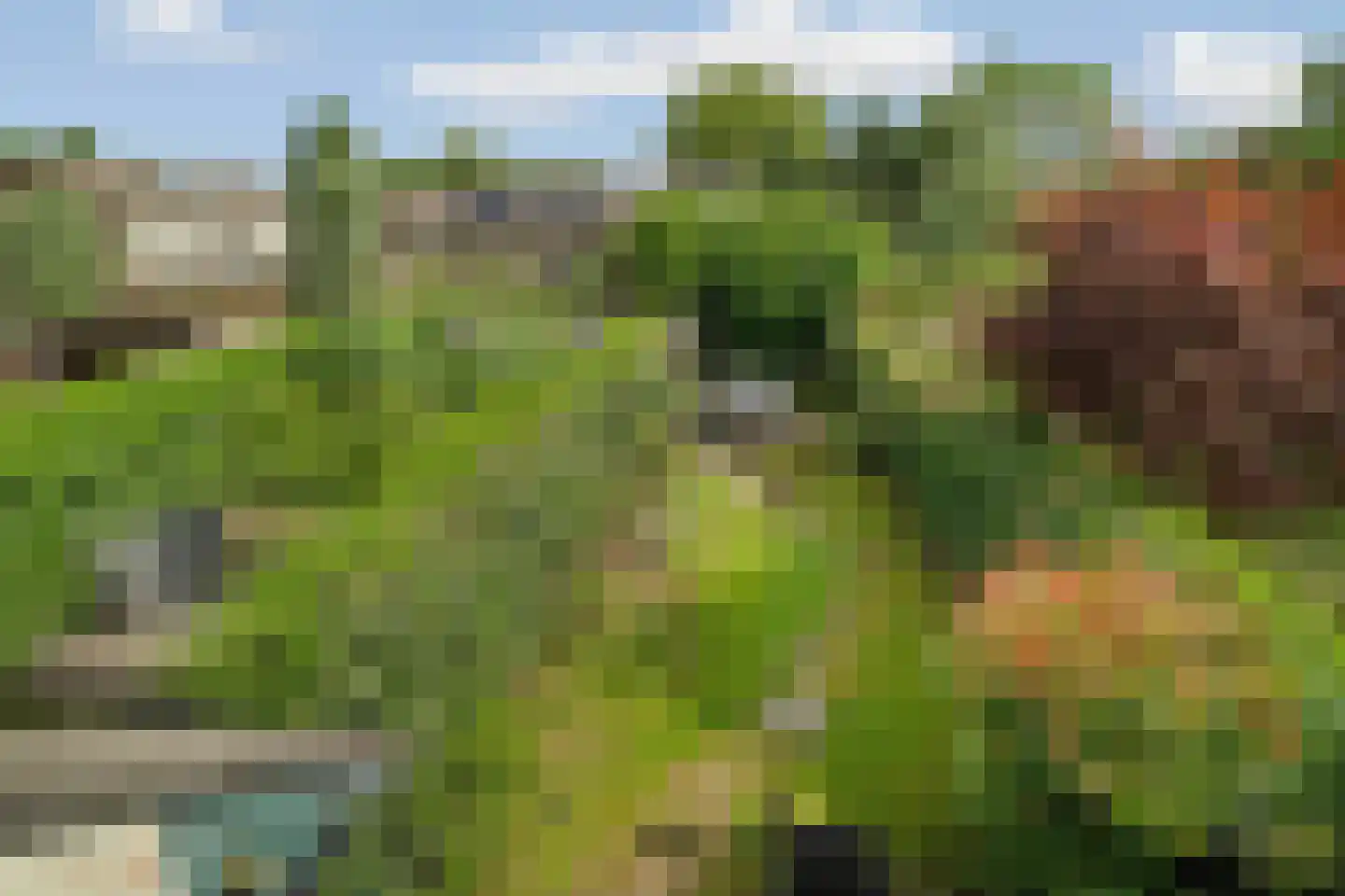 Lieshoutstraat 66 Arnhem thumbnail 22
