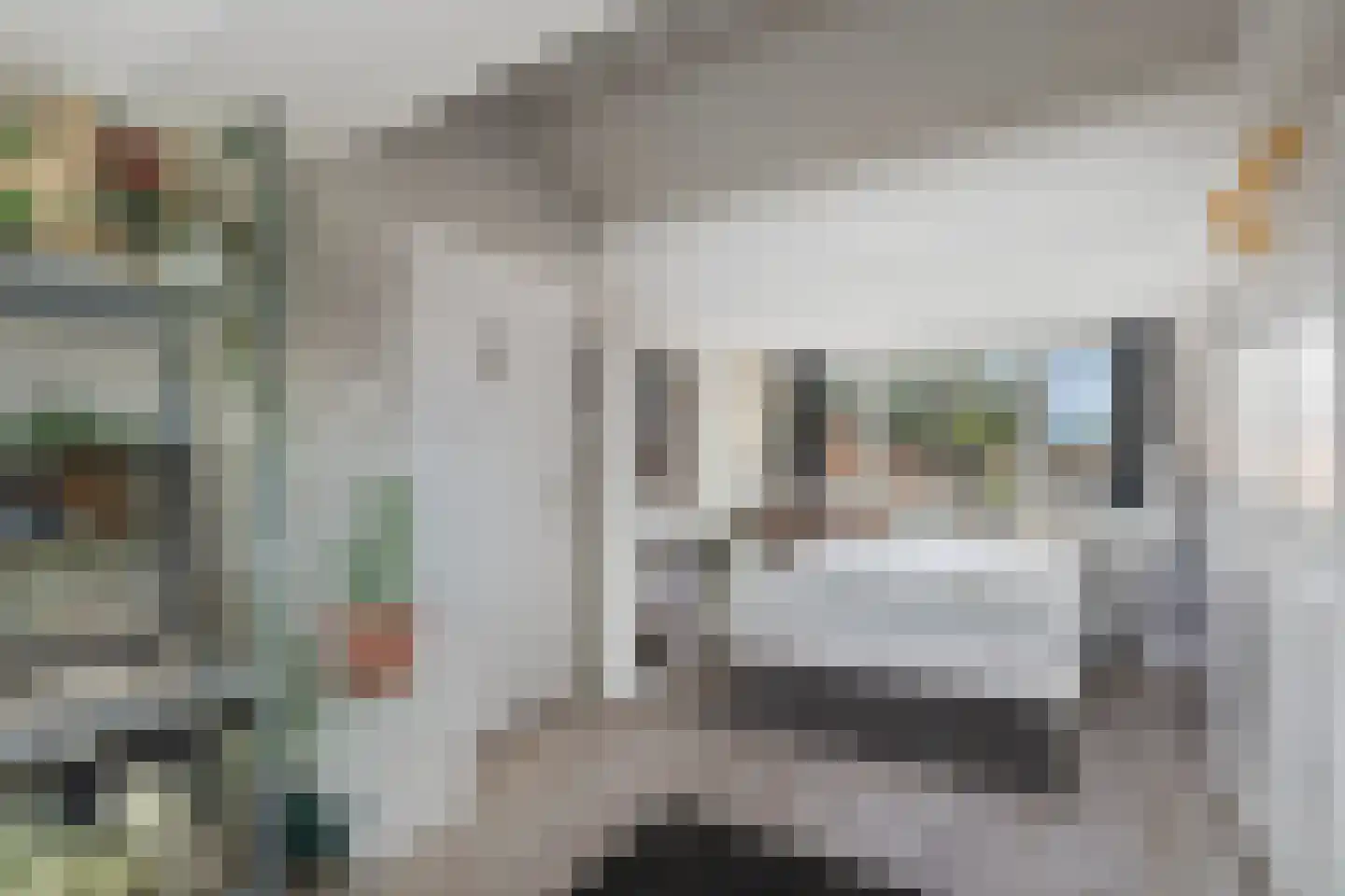 Lieshoutstraat 66 Arnhem thumbnail 34