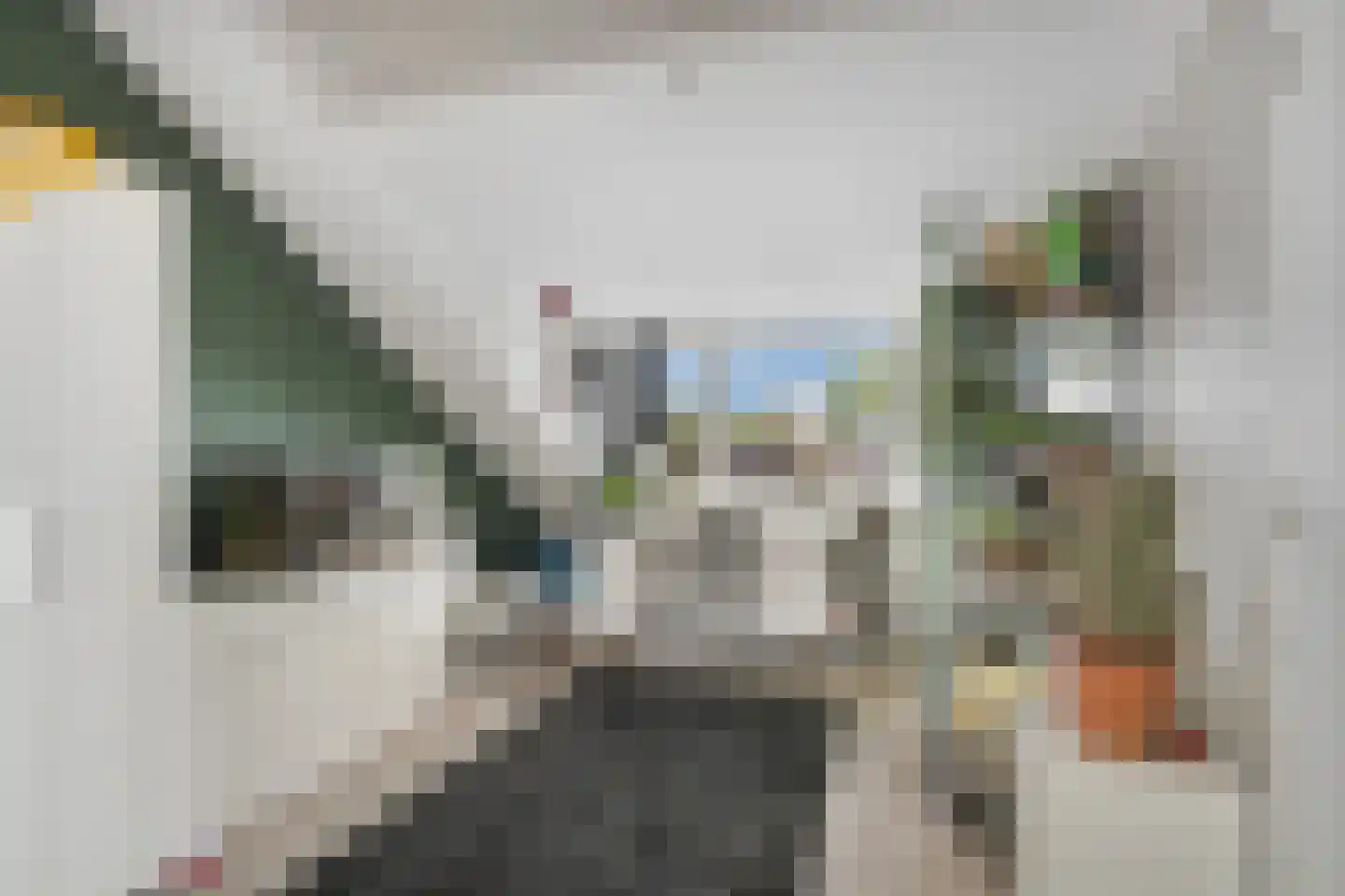 Lieshoutstraat 66 Arnhem thumbnail 35