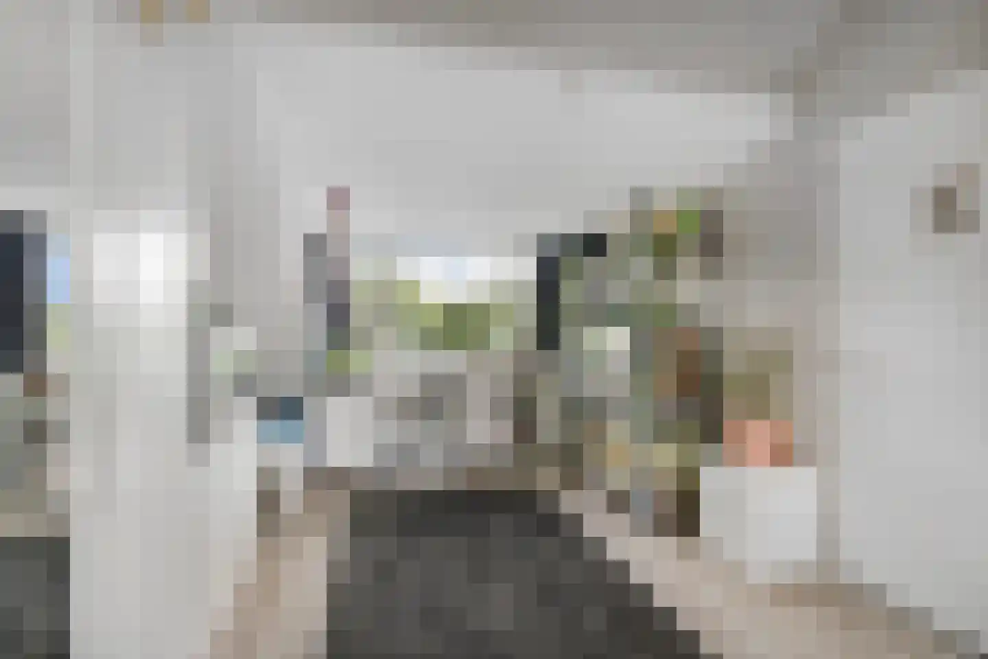 Lieshoutstraat 66 Arnhem thumbnail 36