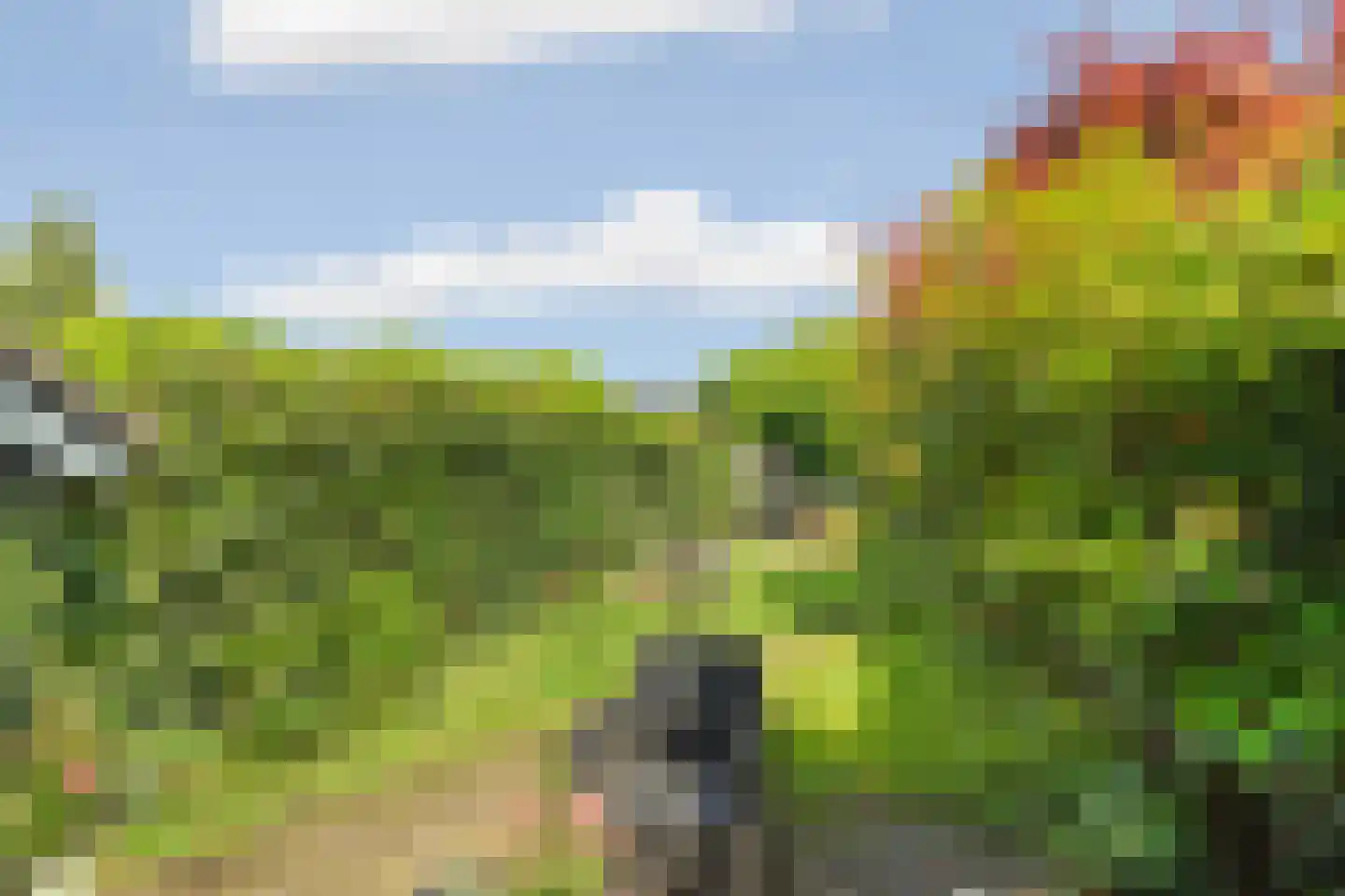 Lieshoutstraat 66 Arnhem thumbnail 41