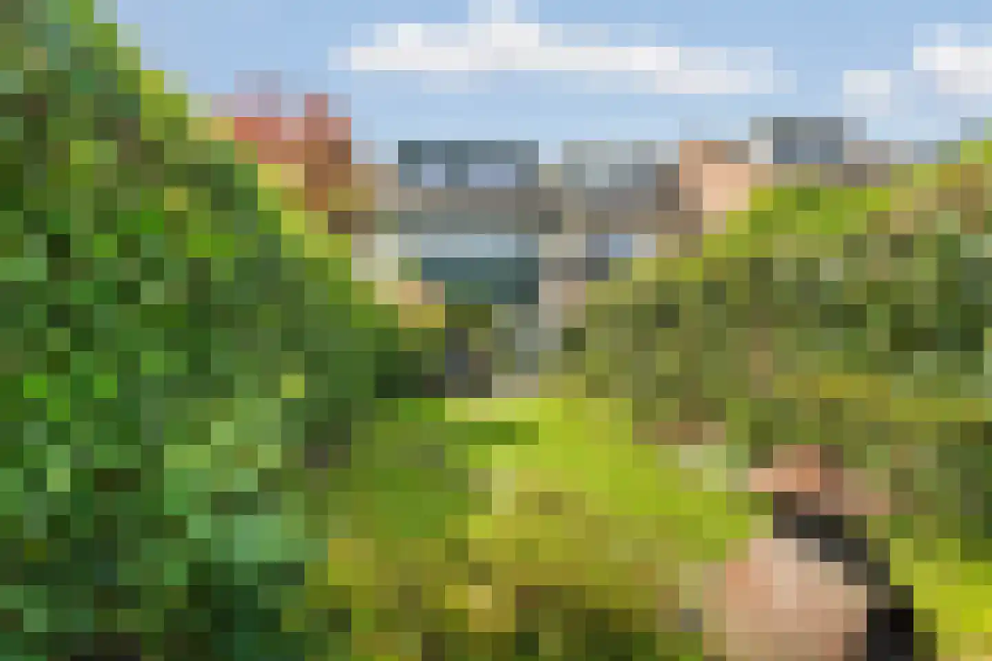Lieshoutstraat 66 Arnhem thumbnail 42