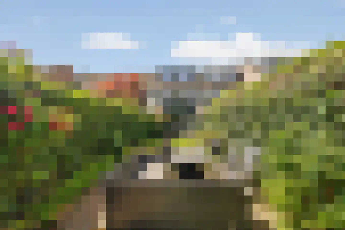 Lieshoutstraat 66 Arnhem thumbnail 43