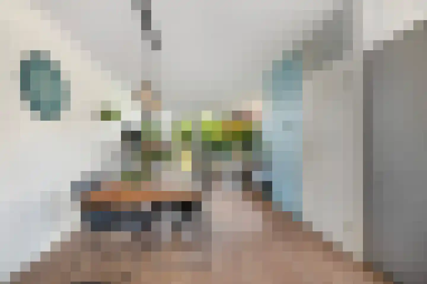 Lieshoutstraat 66 Arnhem thumbnail 9