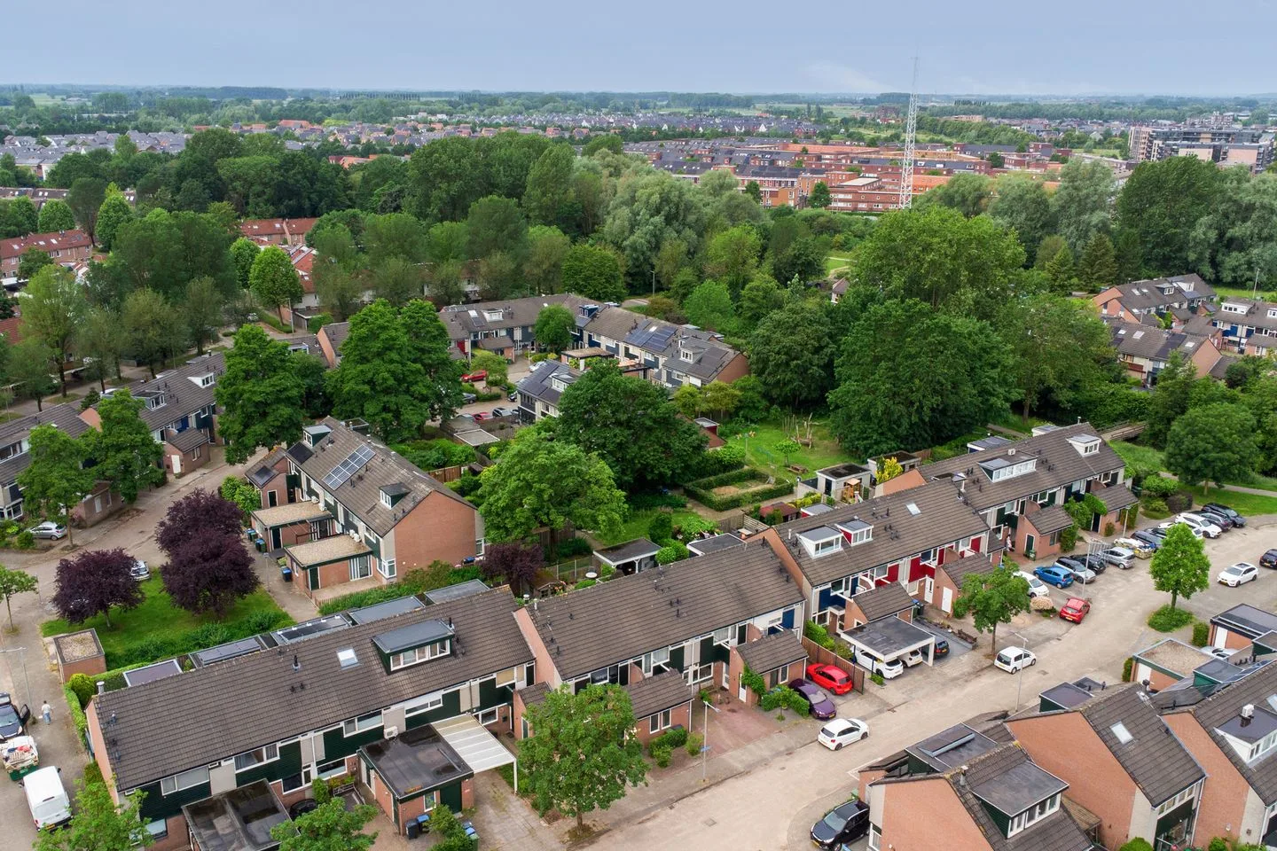 Lieshoutstraat 87 Arnhem thumbnail 56