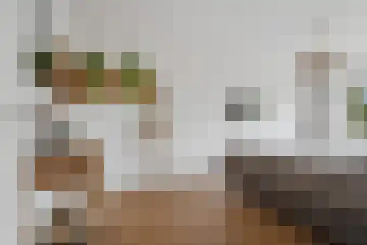 Lieshoutstraat 90 Arnhem thumbnail 23