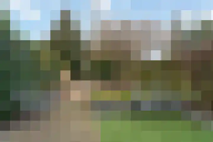 Lieshoutstraat 90 Arnhem thumbnail 42