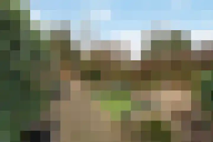 Lieshoutstraat 90 Arnhem thumbnail 43