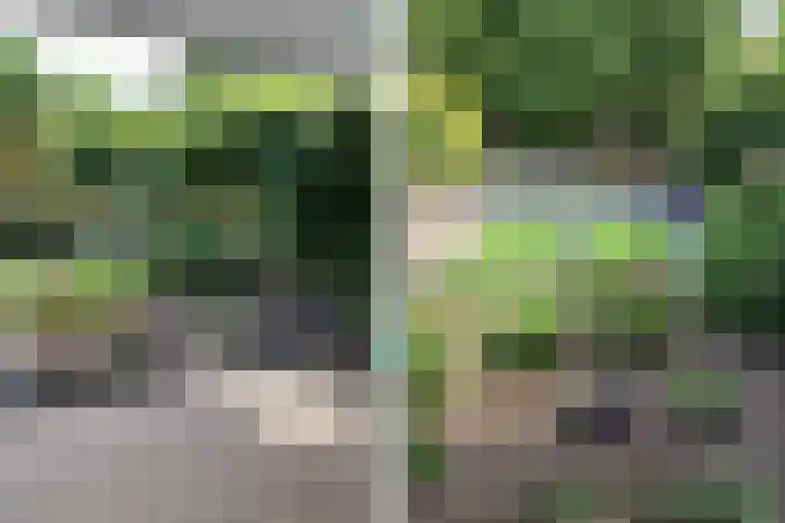 Lieshoutstraat 90 Arnhem thumbnail 45