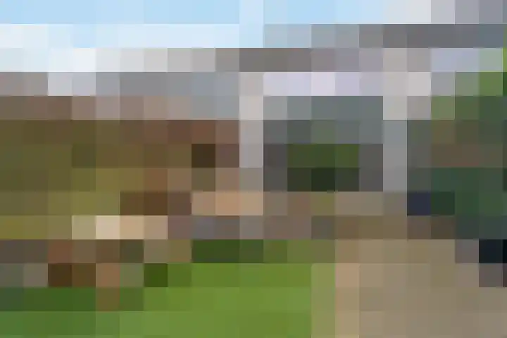 Lieshoutstraat 90 Arnhem thumbnail 49